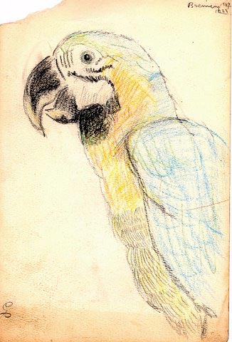 Zoo sketch by Paul Galdone